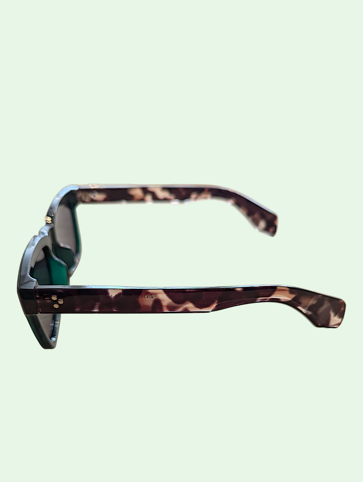 Sunglasses with tortoiseshell frame on a light green background