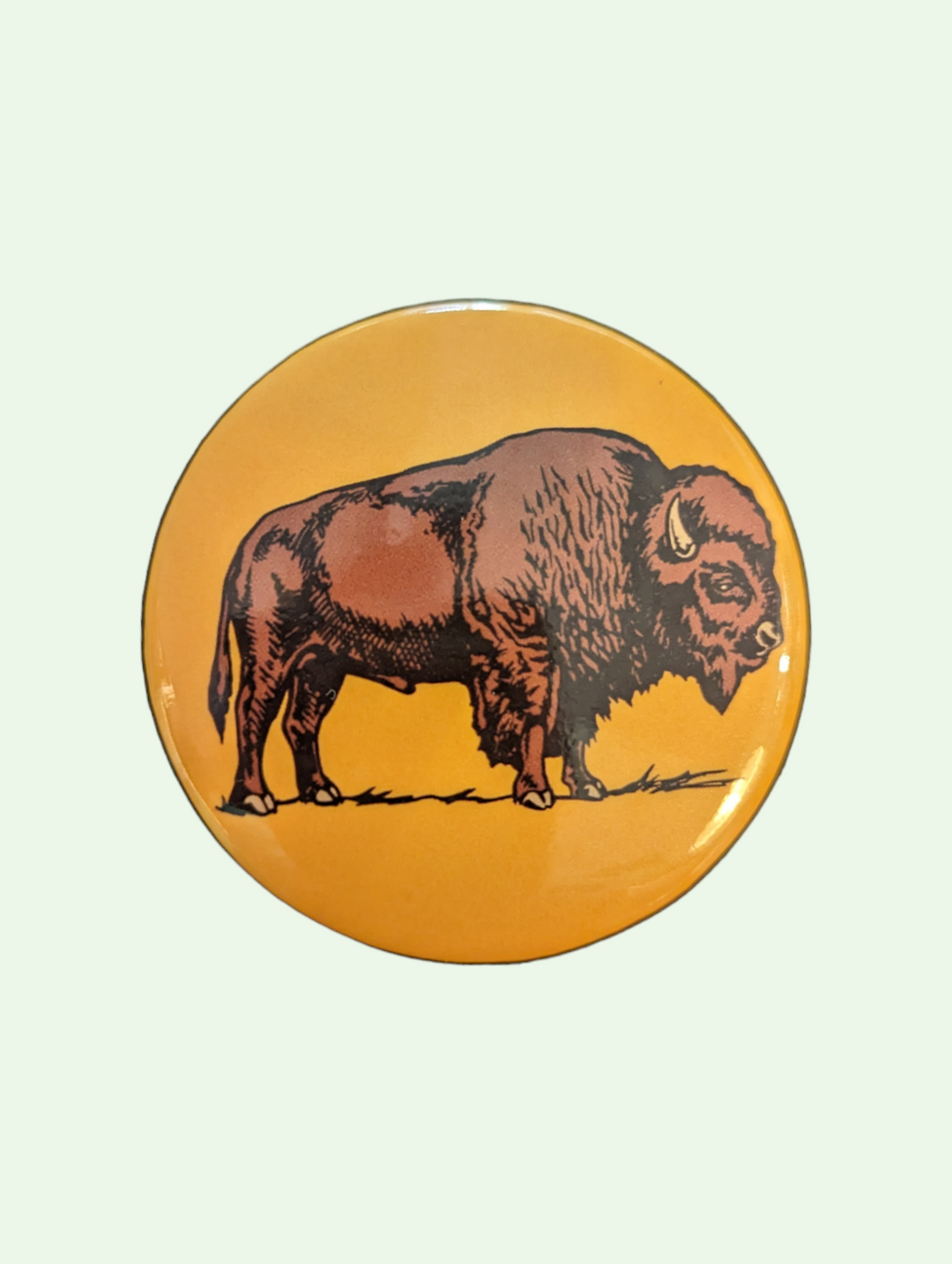 the bison magnet front