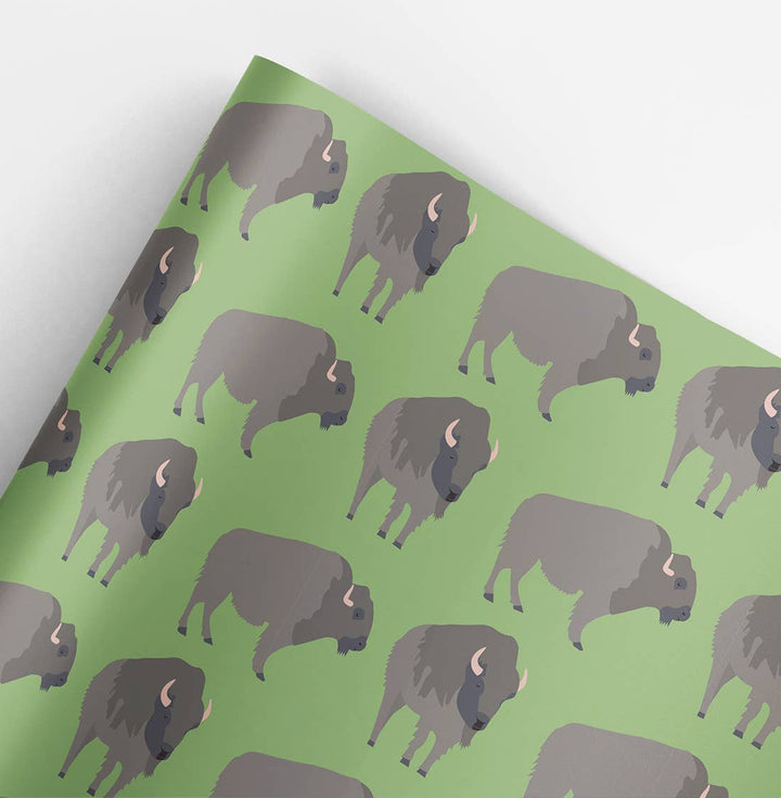 a detail of the buffalo wrapping paper