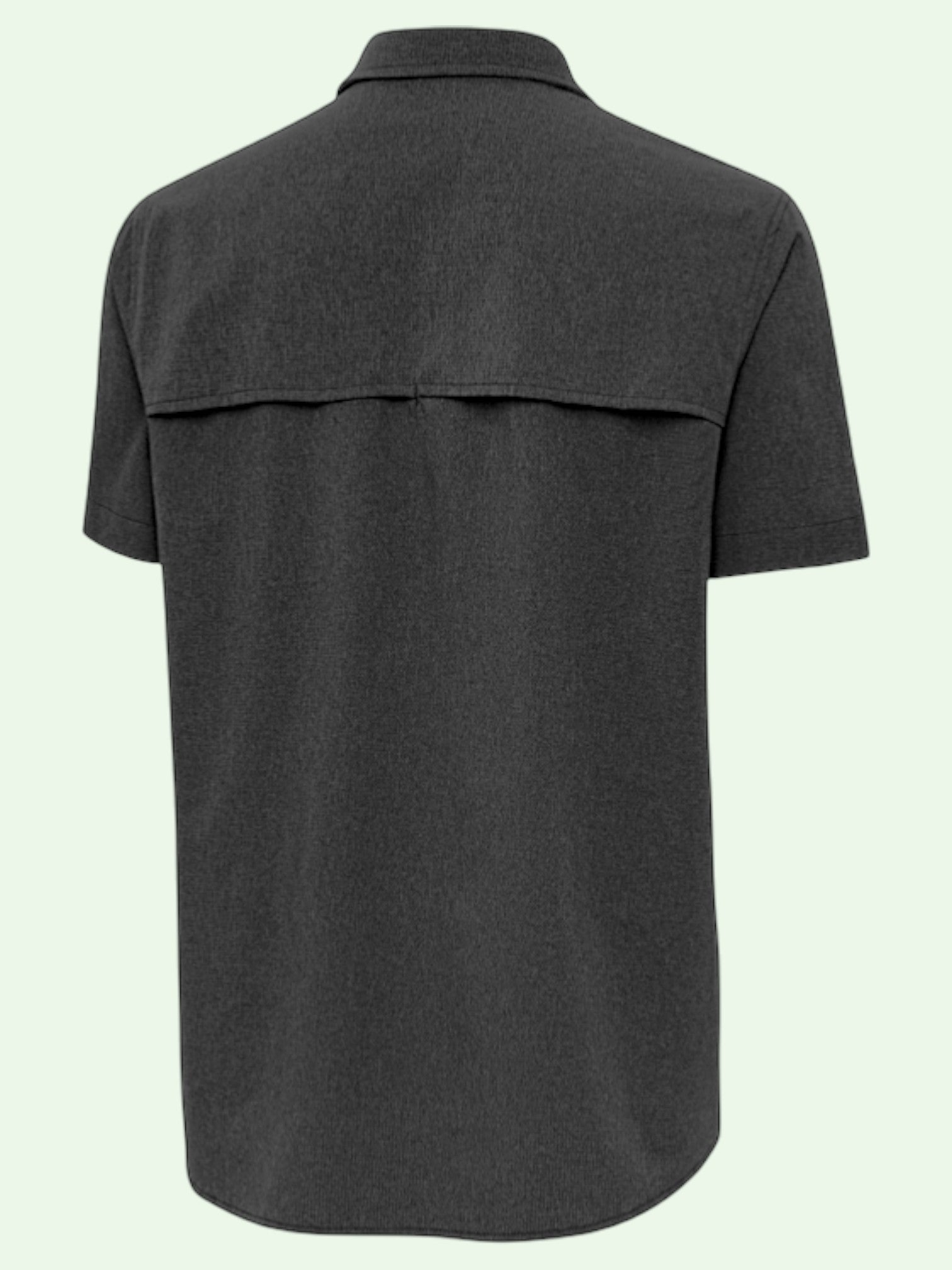 Back view of a dark gray short-sleeve shirt on a light green background