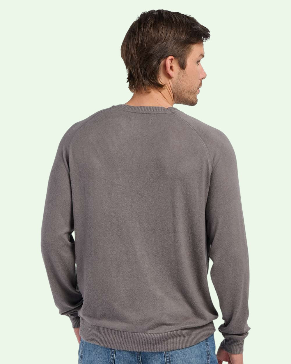 Man wearing a gray sweater from behind on a light green background