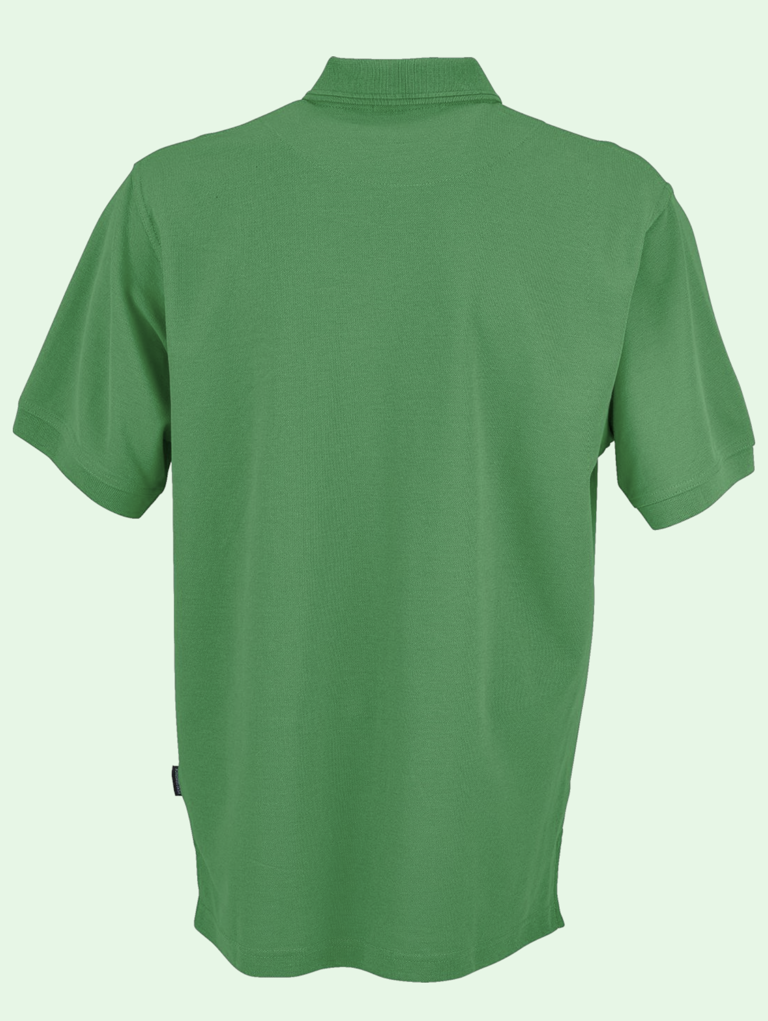 Green polo shirt on a light green background