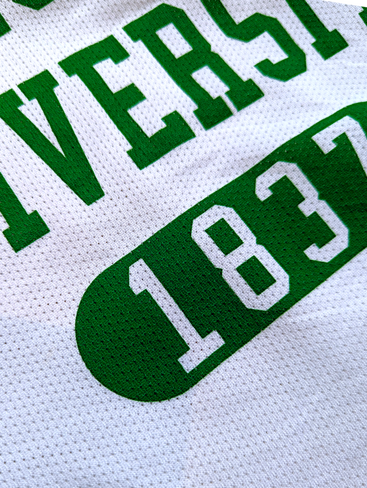 close up of the detail on the throwback jersey 