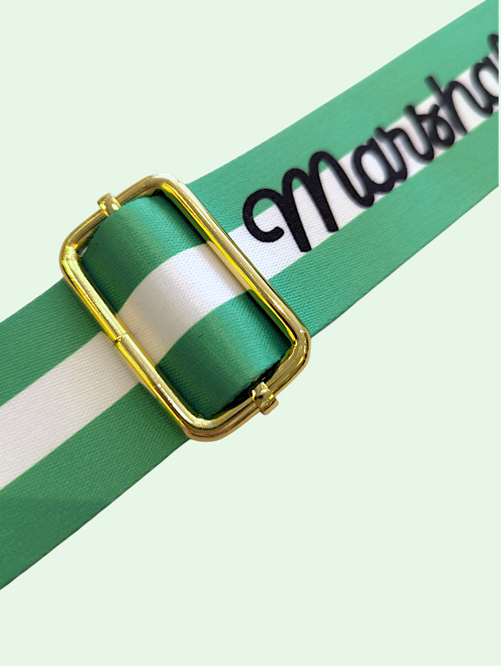 Green and white striped ribbon with gold buckle on a light green background