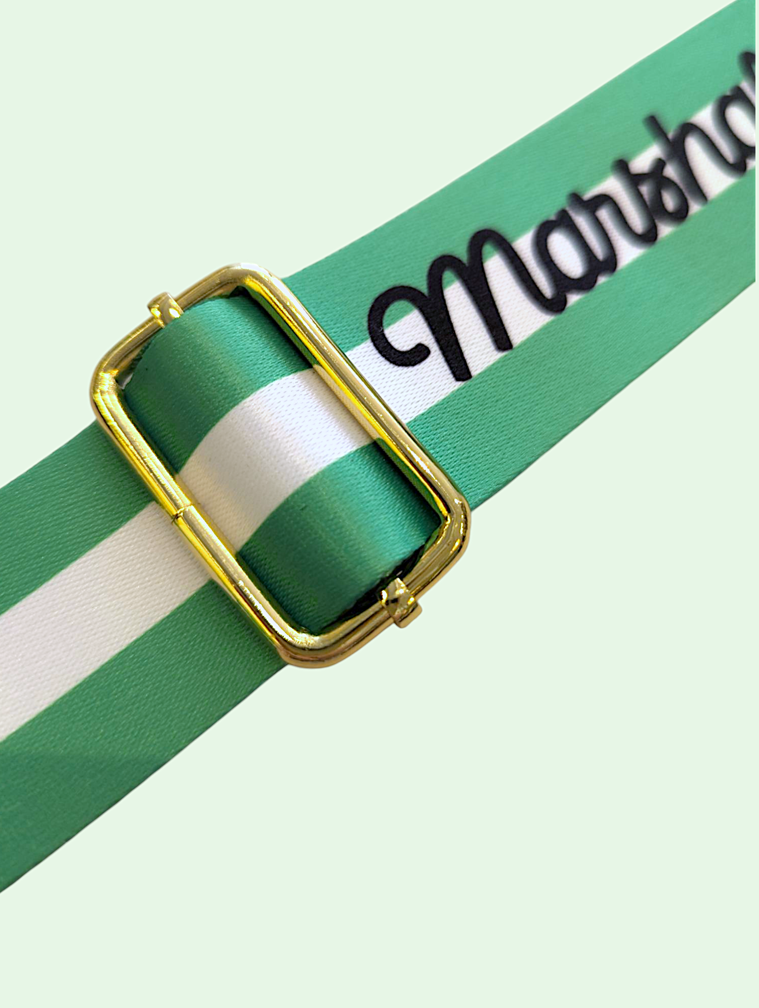 Green and white striped ribbon with gold buckle on a light green background