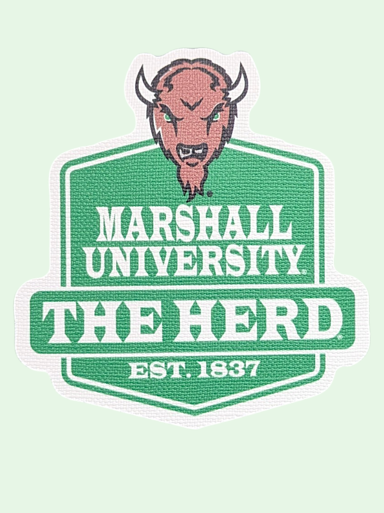 Marshall University logo with a bull head on a light green background